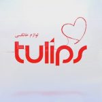 tulips-home-applince-960x540