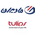 tulips-madiran-part-960x960